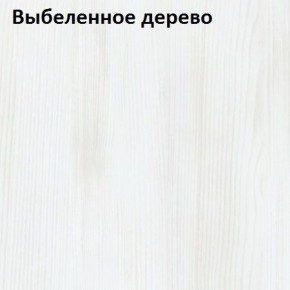 Угловой шкаф с зеркалом YR-230х1034-TR-M Риал в Нытве - nytva.mebel-74.com | фото