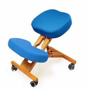 Коленный стул Smartstool KW02 + Чехлы в Нытве - nytva.mebel-74.com | фото