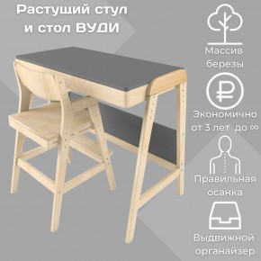 Комплект растущий стол и стул 38 попугаев «Вуди» (Серый, Без покрытия) в Нытве - nytva.mebel-74.com | фото