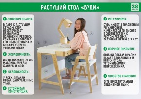 Комплект растущий стол и стул 38 попугаев «Вуди» (Серый, Без покрытия) в Нытве - nytva.mebel-74.com | фото