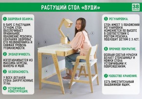 Комплект растущий стол и стул с чехлом 38 попугаев «Вуди» (Белый, Береза, Ромбы) в Нытве - nytva.mebel-74.com | фото