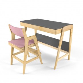 Комплект растущий стол и стул с чехлом 38 попугаев «Вуди» (Серый, Береза, Розовый) в Нытве - nytva.mebel-74.com | фото