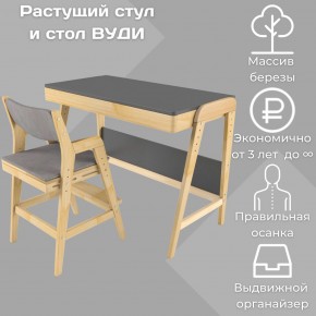 Комплект растущий стол и стул с чехлом 38 попугаев «Вуди» (Серый, Без покрытия, Серый) в Нытве - nytva.mebel-74.com | фото