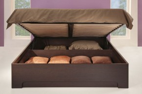 Кровать-3 с подъемным основанием 1600 Парма в Нытве - nytva.mebel-74.com | фото