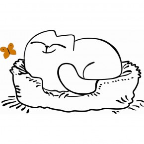 Кровать двухуровневая Кот № 900.1 ЛЕВАЯ (туя светлая/белый) в Нытве - nytva.mebel-74.com | фото