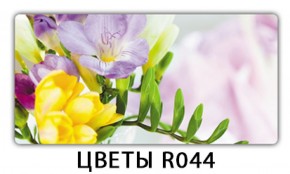 Обеденный раздвижной стол Бриз с фотопечатью Цветы R044 в Нытве - nytva.mebel-74.com | фото