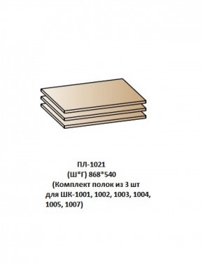 ПЛ-1021 (Комплект полок из 3 шт для ШК-1001, 1002, 1003, 1004, 1005, 1007) в Нытве - nytva.mebel-74.com | фото