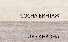 Шкаф 2D1S, MONAKO, цвет Сосна винтаж/дуб анкона в Нытве - nytva.mebel-74.com | фото