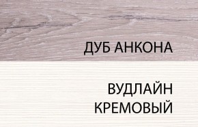 Шкаф 2DG, OLIVIA, цвет вудлайн крем/дуб анкона в Нытве - nytva.mebel-74.com | фото