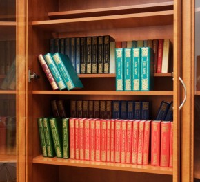 Шкаф для книг арт. 200 в Нытве - nytva.mebel-74.com | фото
