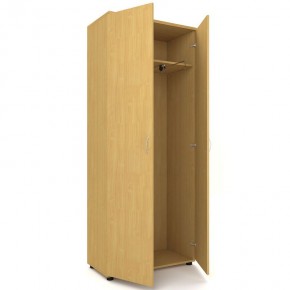 Шкаф для одежды двухстворчатый "Проспект" (Р.Ш-8) в Нытве - nytva.mebel-74.com | фото