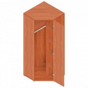 Шкаф для одежды "Референт" Р.Ш-10 в Нытве - nytva.mebel-74.com | фото