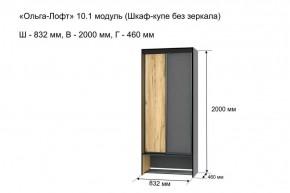 Шкаф купе без зеркала "Ольга-Лофт 10.1" в Нытве - nytva.mebel-74.com | фото
