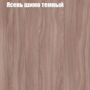 Шкаф-купе «ТАНДЕМ» 2-х дверный в алюминиевом профиле (Дверь ЛДСП+ЛДСП) 1200/h2200 в Нытве - nytva.mebel-74.com | фото