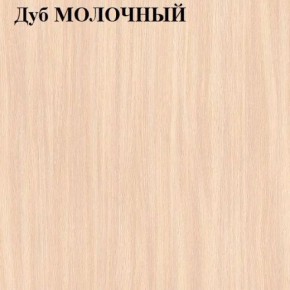 Шкаф-купе «ТАНДЕМ» 2-х дверный в алюминиевом профиле (Дверь ЛДСП+Z) 1200/h2200 в Нытве - nytva.mebel-74.com | фото