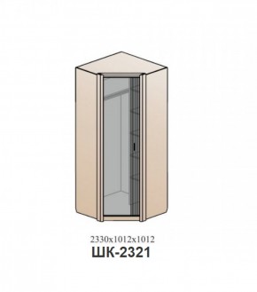 Шкаф ШЕР Дуб серый/айронвуд серебро (ШК-2321) в Нытве - nytva.mebel-74.com | фото