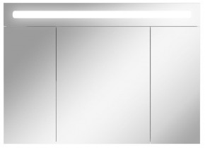 Шкаф-зеркало Аврора 100 с подсветкой LED Домино (DV8012HZ) в Нытве - nytva.mebel-74.com | фото