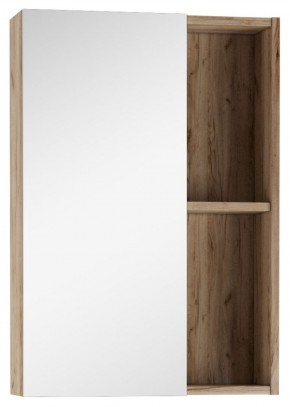 Шкаф-зеркало Craft 50 левый/правый Домино (DCr2212HZ) в Нытве - nytva.mebel-74.com | фото
