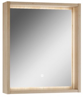 Шкаф-зеркало Nice 60 с подсветкой Домино (DN4706HZ) в Нытве - nytva.mebel-74.com | фото
