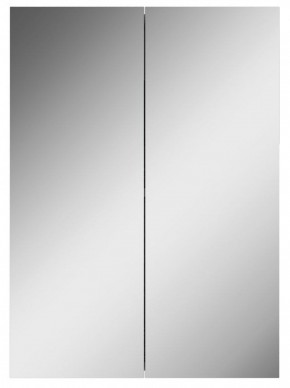 Шкаф-зеркало Норма 50 2 двери АЙСБЕРГ (DA1636HZ) в Нытве - nytva.mebel-74.com | фото