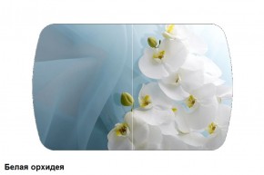 Стол Бостон 900*600 (опоры Брифинг) Стекло/фотопечать Белая Орхидея в Нытве - nytva.mebel-74.com | фото