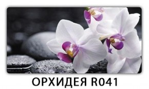Стол Бриз с фотопечатью Цветы R044 в Нытве - nytva.mebel-74.com | фото