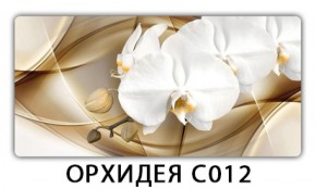 Стол раздвижной Трилогия с фотопечатью Орхидея C012 в Нытве - nytva.mebel-74.com | фото
