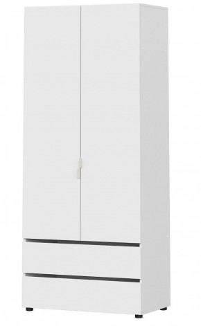Токио Шкаф 2-х створчатый с 2-мя ящиками (*без полок) в Нытве - nytva.mebel-74.com | фото