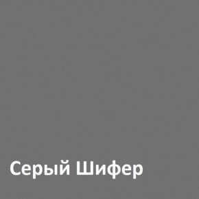 Юнона Шкаф торцевой 13.221 в Нытве - nytva.mebel-74.com | фото