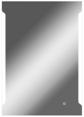 Зеркало Оттава 1000х700 с подсветкой Домино (GL7028Z) в Нытве - nytva.mebel-74.com | фото